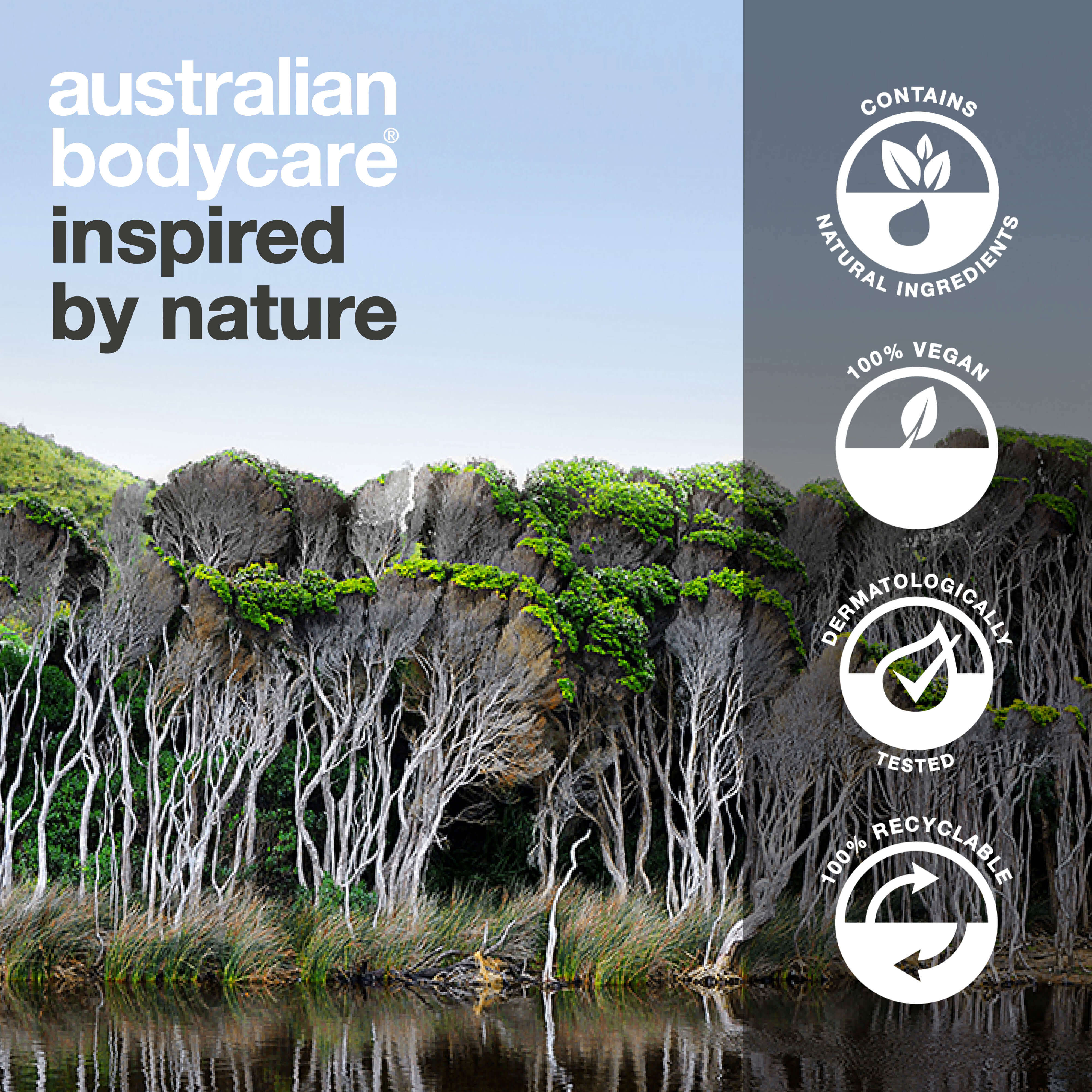 Dentifrice pour dents sensibles – Dentifrice à l’huile d’arbre à thé