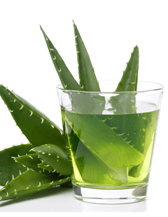 Jus d'aloe vera - bonnes raisons de boire de l'aloe vera