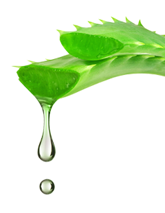 gel aloe vera