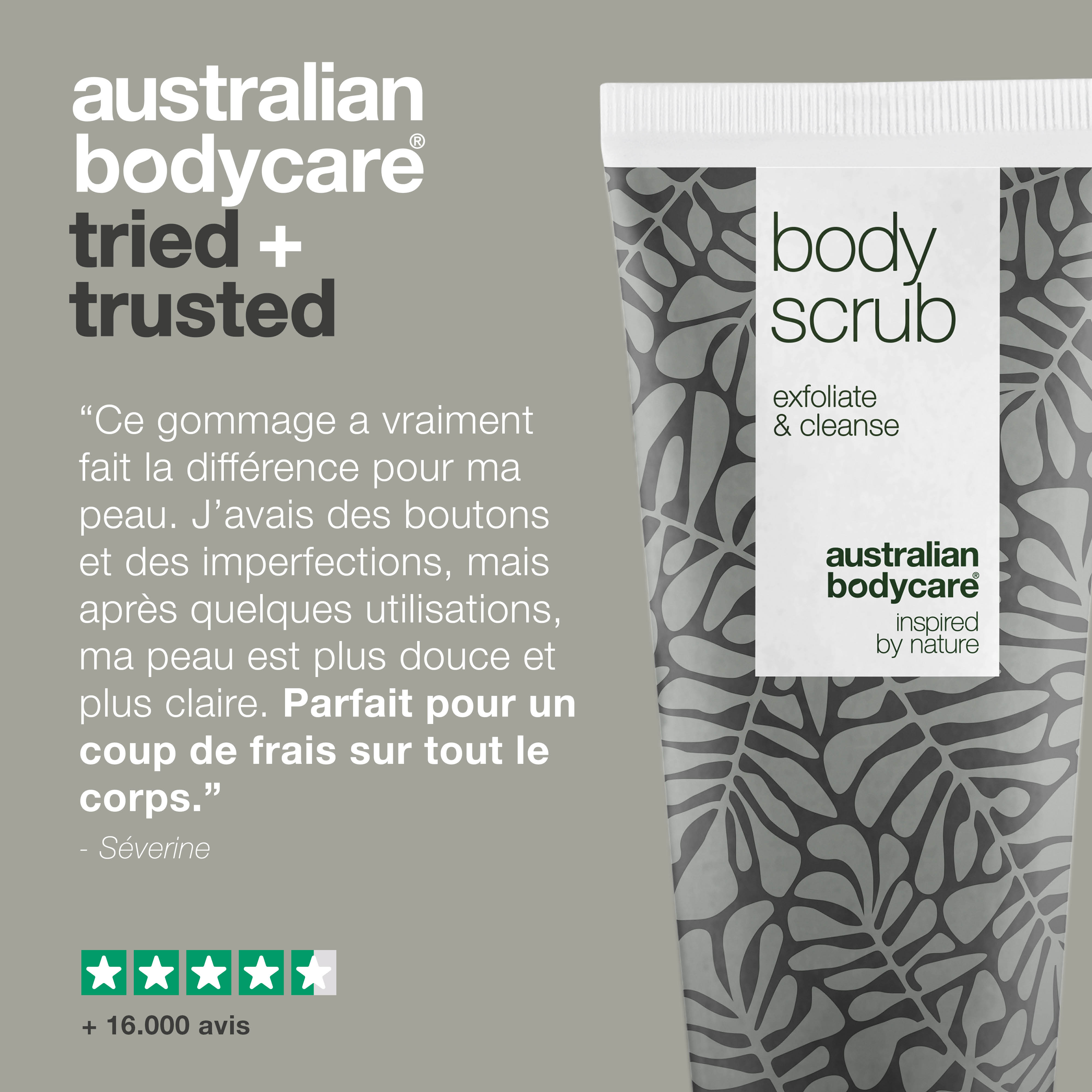 Gommage corporel exfoliant à l'arbre à thé pour les taches et la peau congestionnée — Gommage nettoyant en profondeur à l'huile d'arbre à thé 100 % naturelle, également pour un usage intime