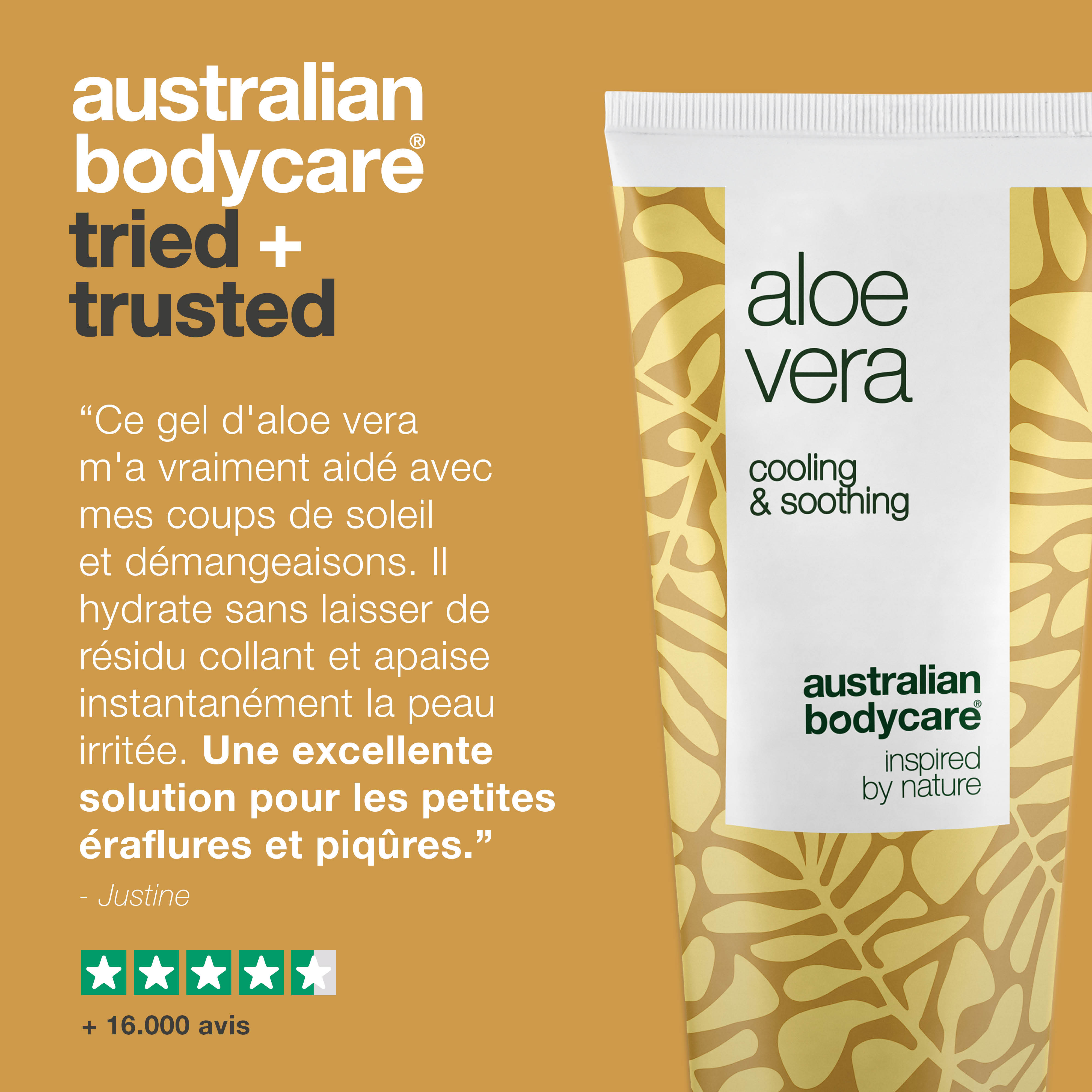 Gel d'Aloe Vera Bio – Soin hydratant et rafraîchissant pour la peau – Le gel d'Aloe Vera Bio hydrate et rafraîchit la peau sèche et exposée au soleil. Formule non grasse à absorption rapide pour les soins quotidiens de la peau.