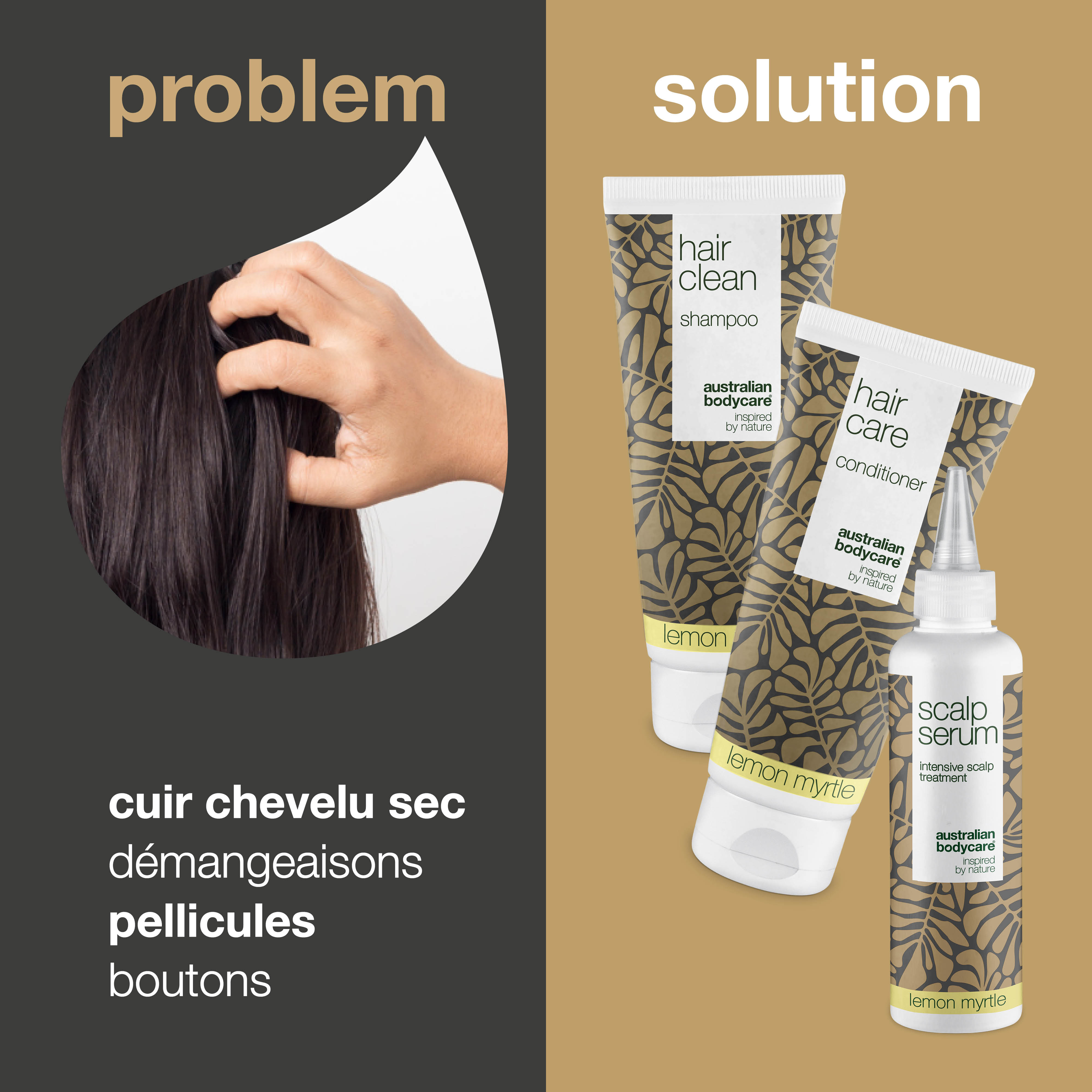 Kit de soins du cuir chevelu au myrte citronné — 3 produits à base d'huile d'arbre à thé et de myrte citronné pour les pellicules et le cuir chevelu sec