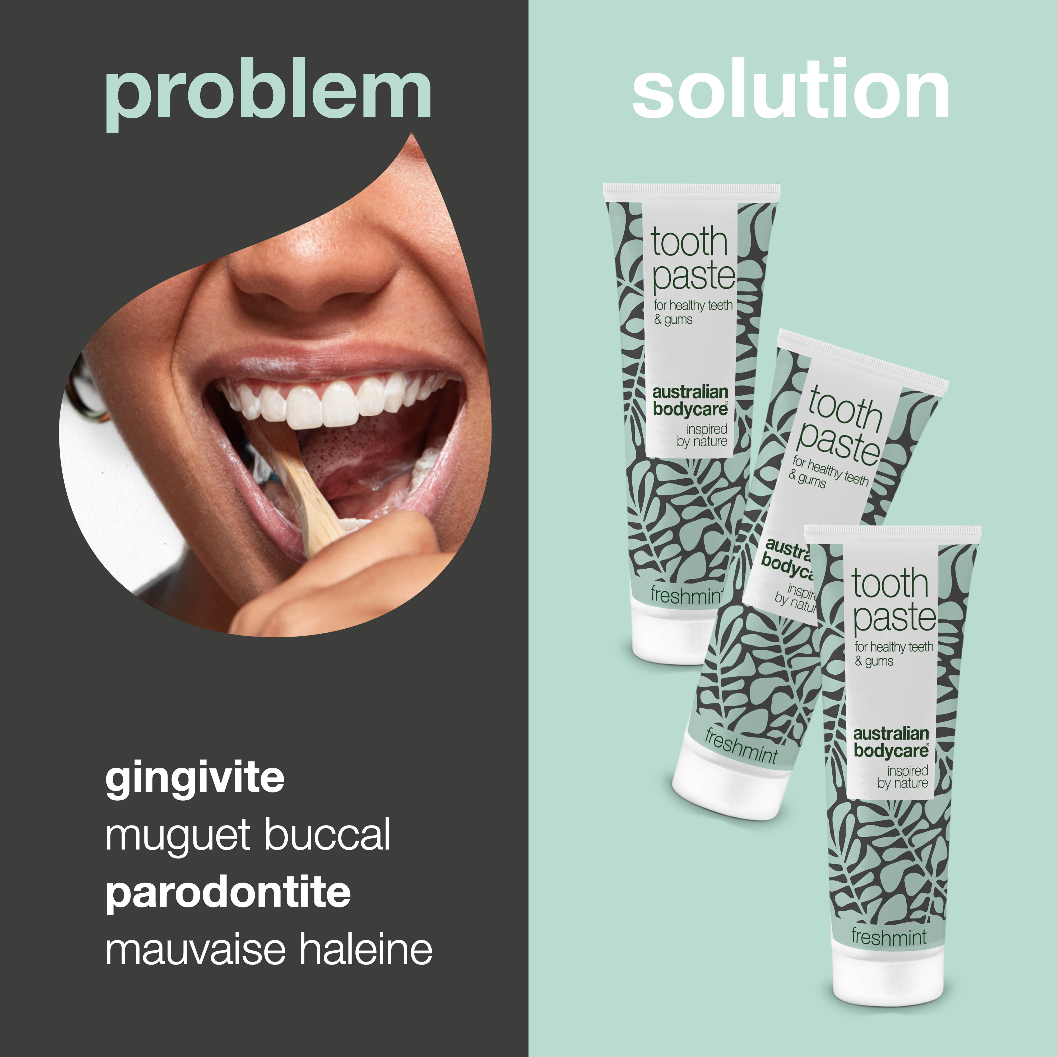 3 x Dentifrice à l'huile d'arbre à thé et à la menthe fraîche — Pour le soin quotidien du muguet buccal, de la parodontite et de la gingivite