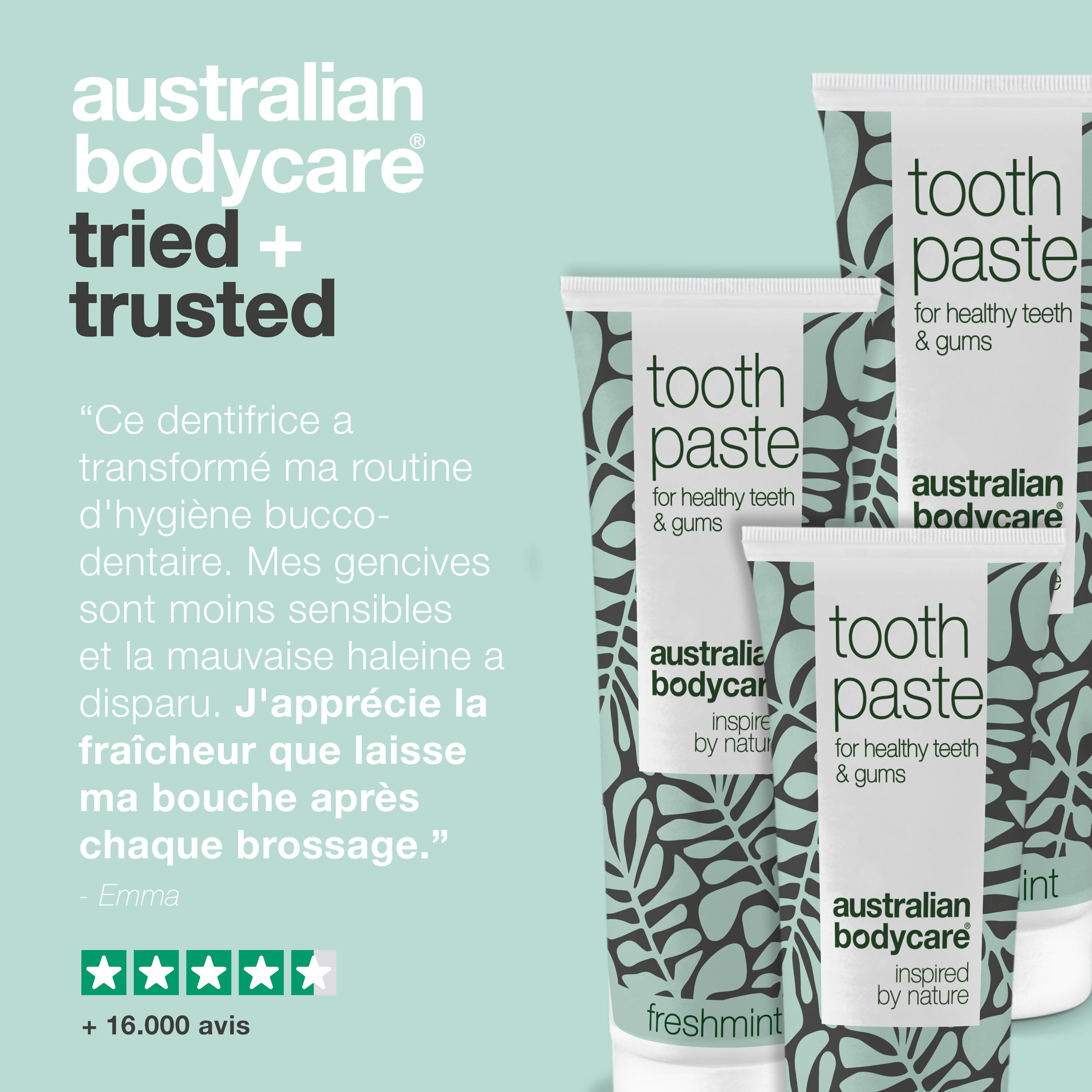 3 x Dentifrice à l'huile d'arbre à thé et à la menthe fraîche — Pour le soin quotidien du muguet buccal, de la parodontite et de la gingivite