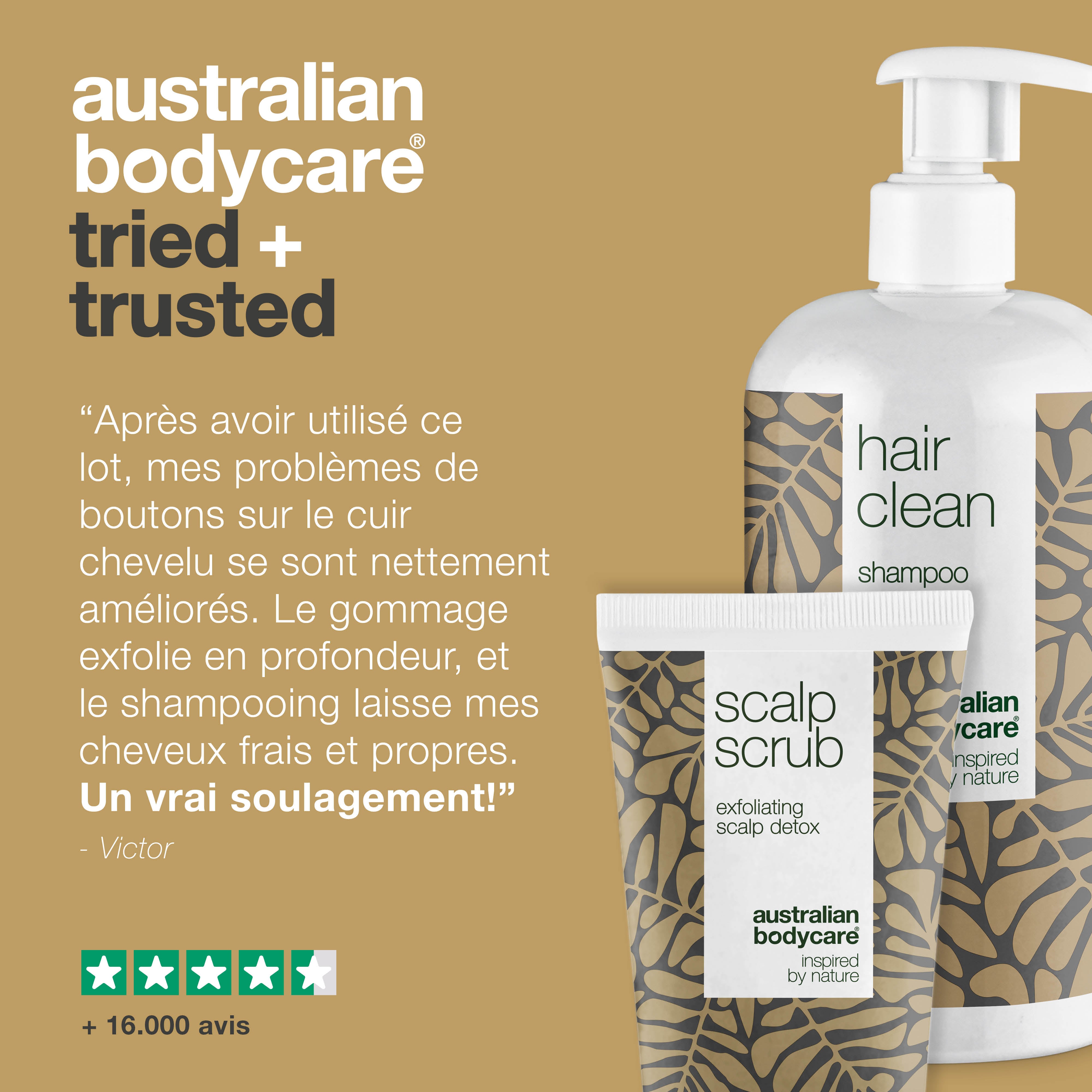 Lot de 2 produits pour les cheveux — Shampooing et Exfoliant à l’Huile de Tea Tree pour cuir chevelu et cheveux gras