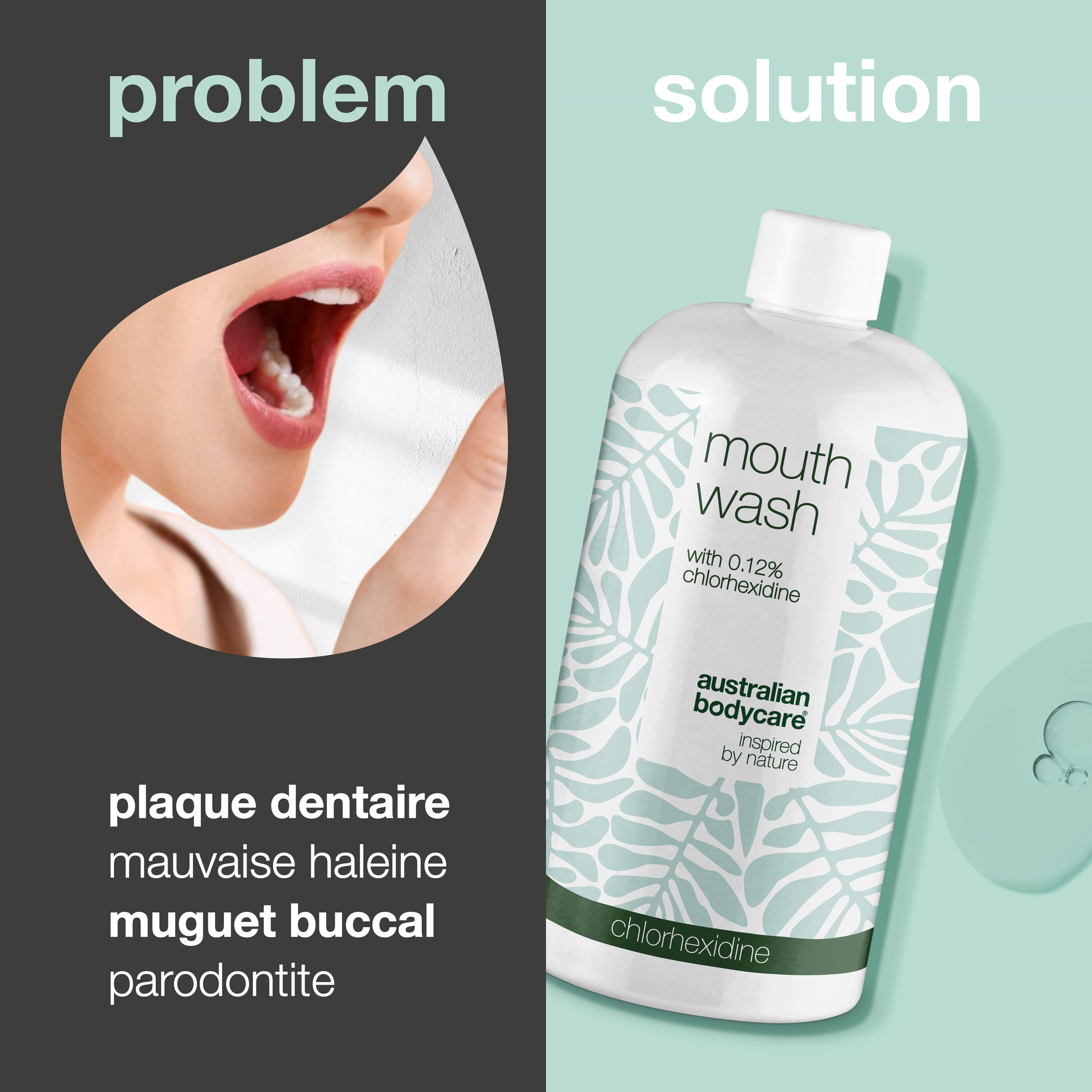Bain de bouche à la chlorhexidine 0,12% à l'huile d'arbre à thé — Bain de bouche pour le soin quotidien des gencives douloureuses, des maladies parodontales et de la mauvaise haleine