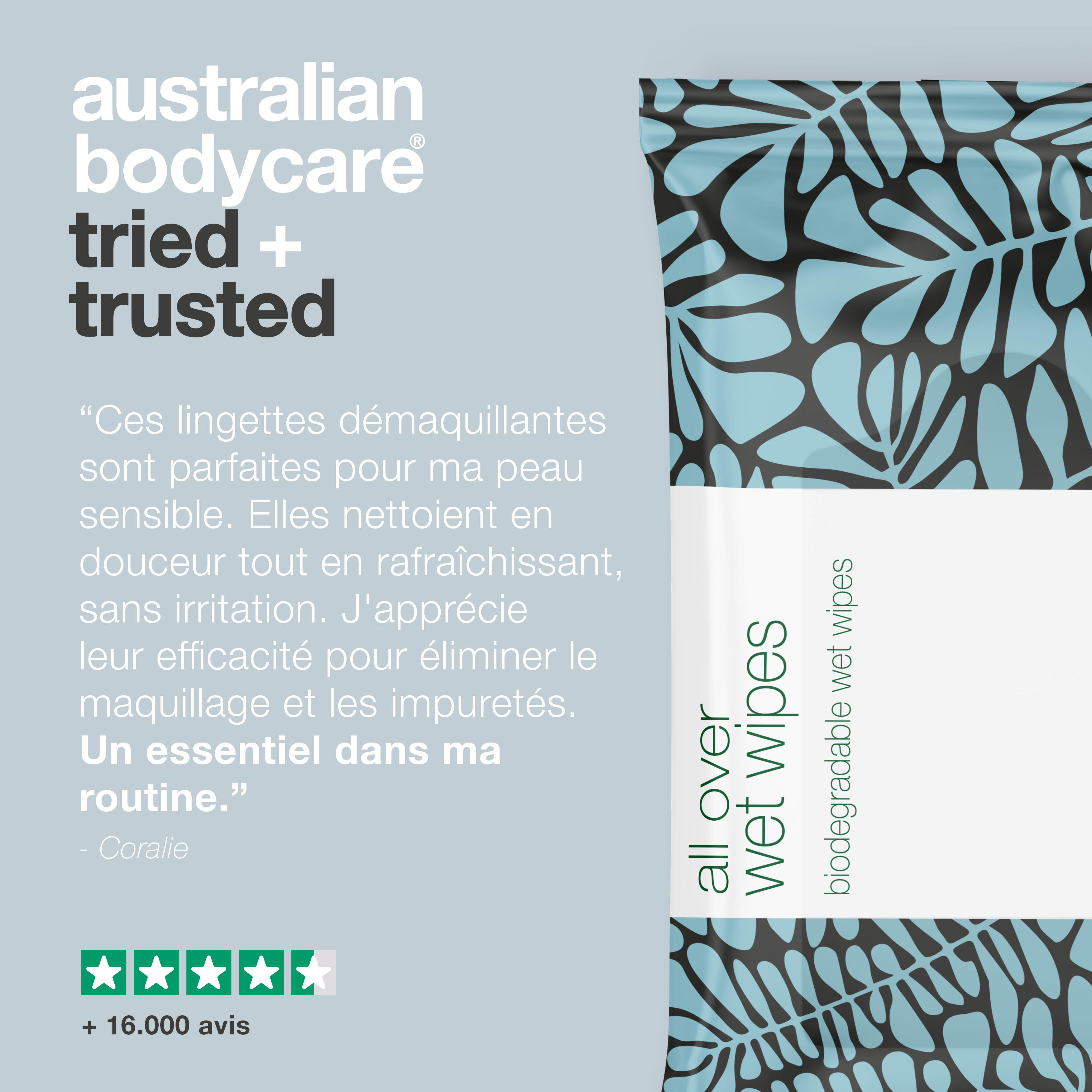 Lingettes humides pour adultes à l'huile d'arbre à thé 24 pcs — Nettoie efficacement la peau du corps