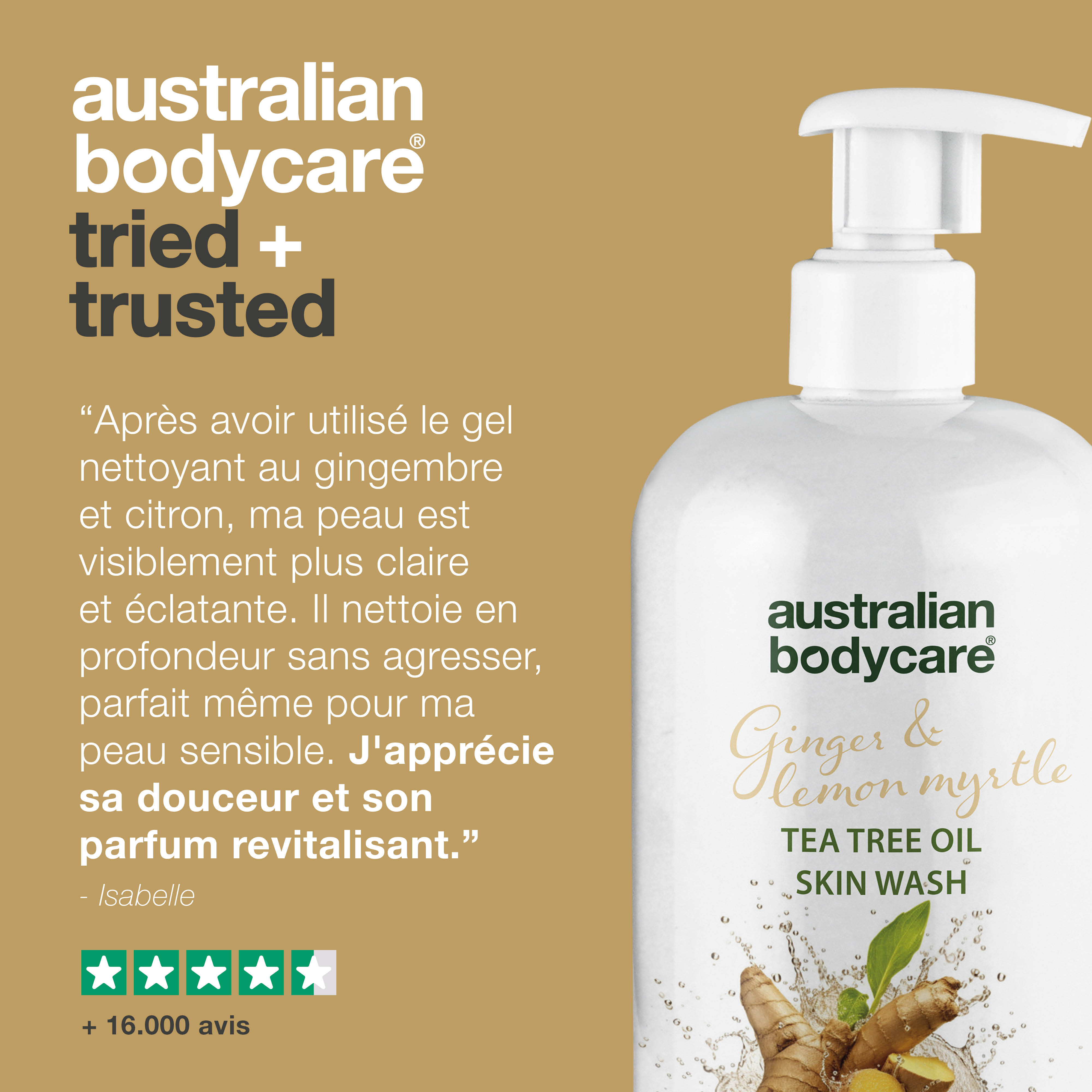 Nettoyant professionnel pour la peau au gingembre et au citron — Nettoyant corporel professionnel au gingembre avec de l'huile d'arbre à thé