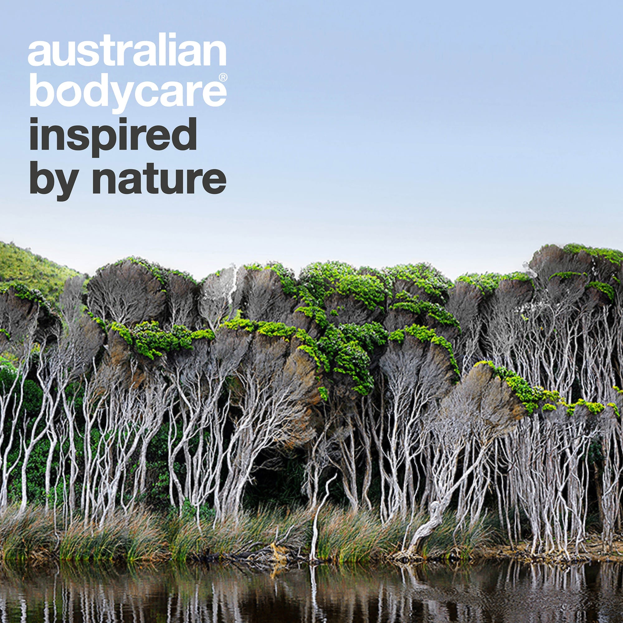 Australian Bodycare – inspired by nature : paysage australien avec des arbres à thé