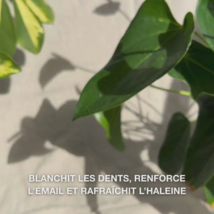 Gros plan d’une main déposant une noisette de dentifrice blanchissant sur une brosse à dents et brossant en mouvements circulaires : la pâte fine avec silice hydratée, alumine et menthol élimine les taches, renforce l’émail et laisse une haleine fraîche 