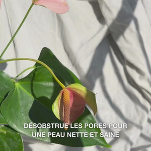 Gros plan sur une main faisant des mouvements circulaires avec la brosse Face Scrubber aux poils souples en silicone sur une peau faciale légèrement humide : la brosse flexible exfolie et nettoie en profondeur, élimine impuretés et cellules mortes, révélant une texture douce et éclatante.