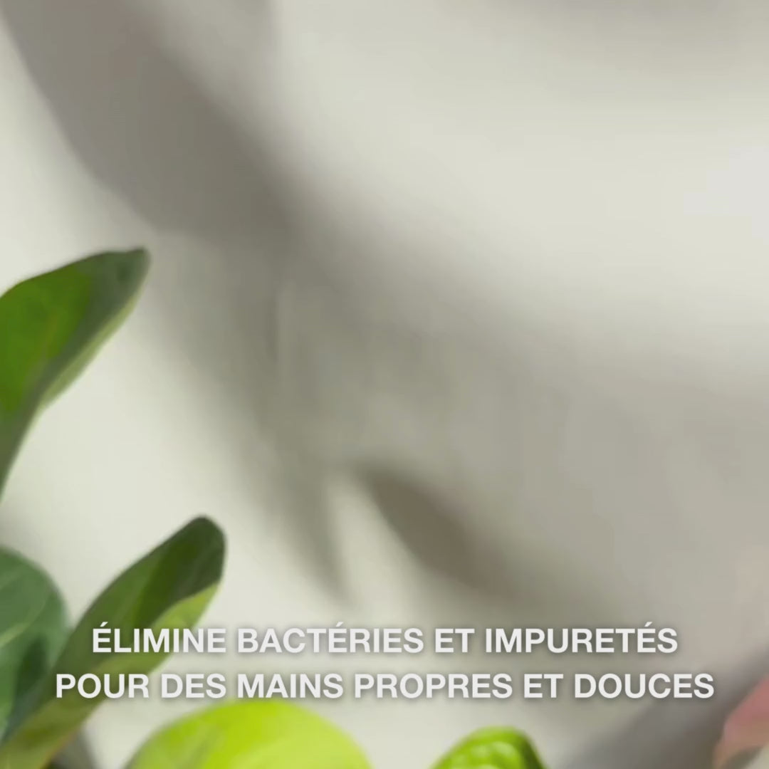 Gros plan sur des mains pompant dans la paume un savon liquide clair bleu pâle moussant, enrichi à l’huile d’arbre à thé, puis moussent délicatement sur les paumes, dos des mains et entre les doigts — la mousse onctueuse nettoie les bactéries et saleté tout en adoucissant et hydratant la peau.