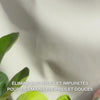 Gros plan sur des mains pompant dans la paume un savon liquide clair bleu pâle moussant, enrichi à l’huile d’arbre à thé, puis moussent délicatement sur les paumes, dos des mains et entre les doigts — la mousse onctueuse nettoie les bactéries et saleté tout en adoucissant et hydratant la peau.