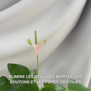 Vidéo : le Salicylic Acid Body Scrub d’Australian Bodycare est massé sur peau humide puis rincé, laissant la peau lisse et nette