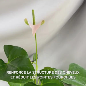 Après-shampooing Vitamin B12 pour cheveux abîmés. Effet bond réparateur. Avec Vitamine B12, Panthénol et Elaya Renova™.