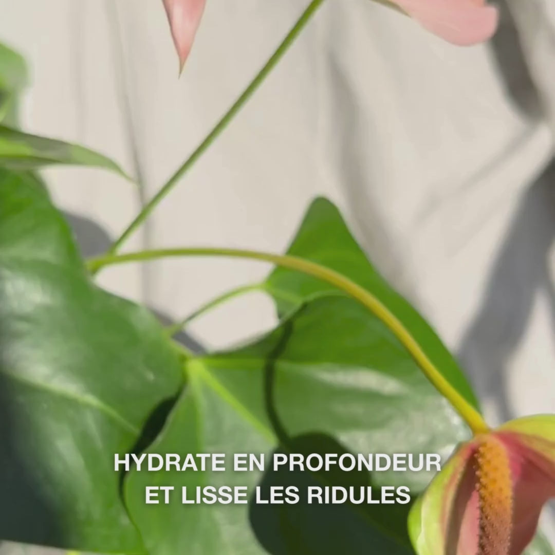 Gros plan d’une main distribuant quelques gouttes d’un sérum fluide et transparent à l’aide d’une pipette en verre, puis le massant délicatement sur une peau légèrement humide : sa texture légère et rapidement absorbée hydrate immédiatement, repulpe les ridules et apaise avec 2 % d’acide hyaluronique, de la vitamine B5 et de l’huile d’arbre à thé 