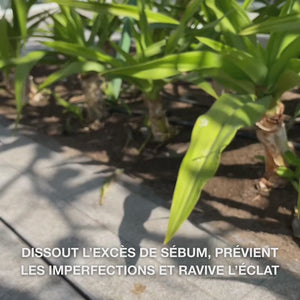 Nettoyant visage à l’acide salicylique – élimine boutons et points noirs, purifie la peau grasse