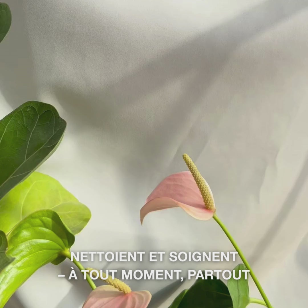 Gros plan sur une main dépliant une lingette faciale douce et humide infusée à l’huile d’arbre à thé, lissant délicatement sur la peau pour éliminer maquillage, sébum et impuretés — la texture douce et l’effet rafraîchissant et apaisant sur une peau sensible à grasse sont mis en valeur.