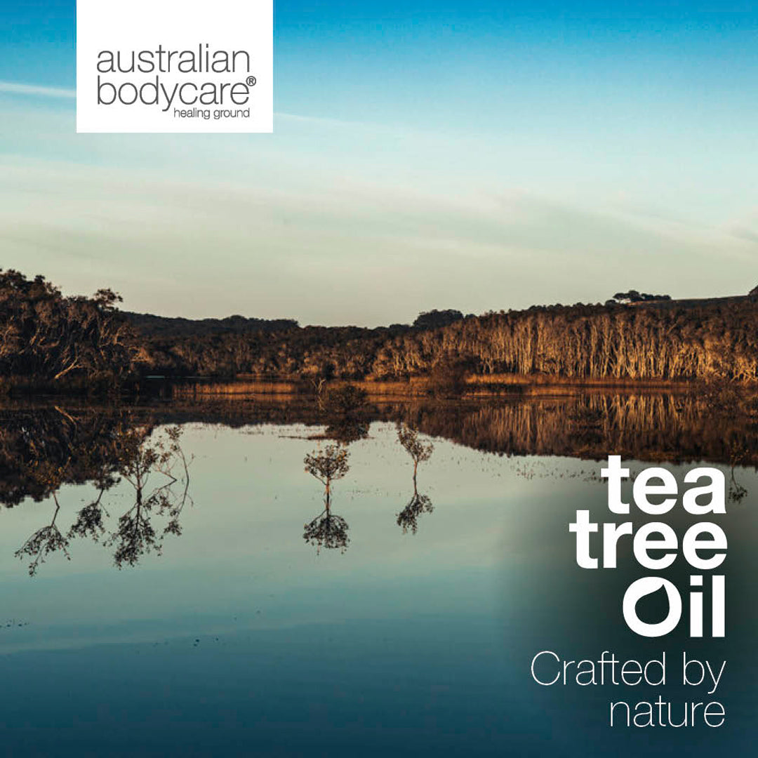3 x 10 ml d'huile de tea tree infusée à la myrte citronnée - 3 paquets d'huile de tea tree concentrée à 100 % et infusée avec de la myrte citronnée, en provenance d'Australie